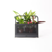 手提植物架