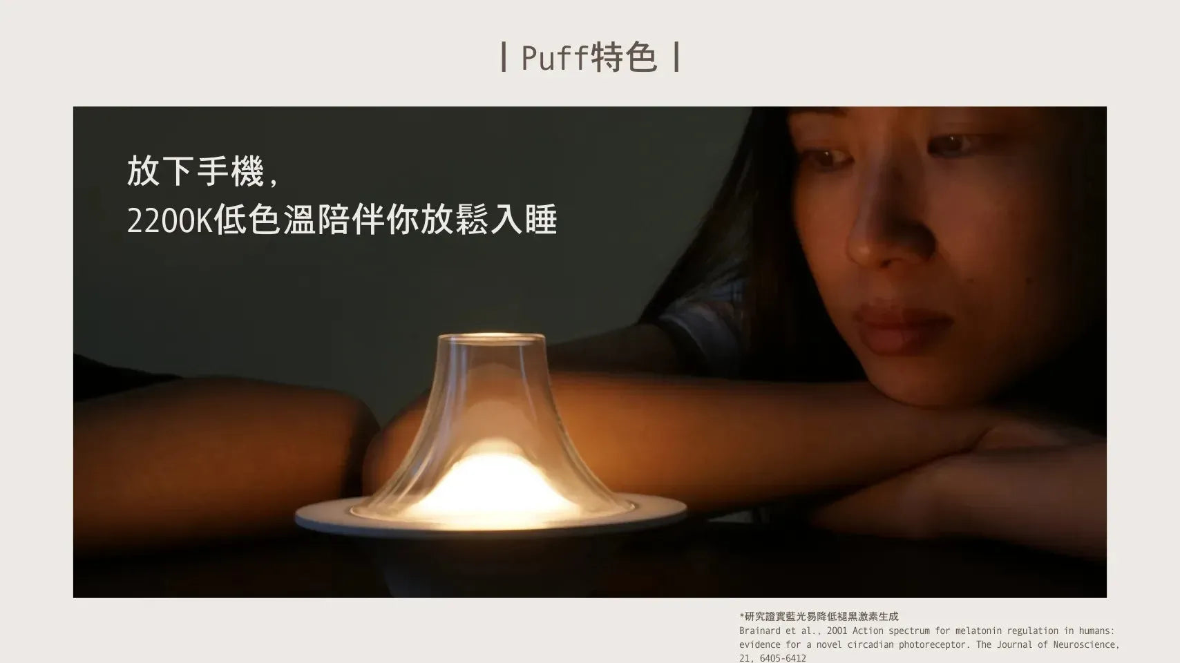 Puff 仿生蠟燭