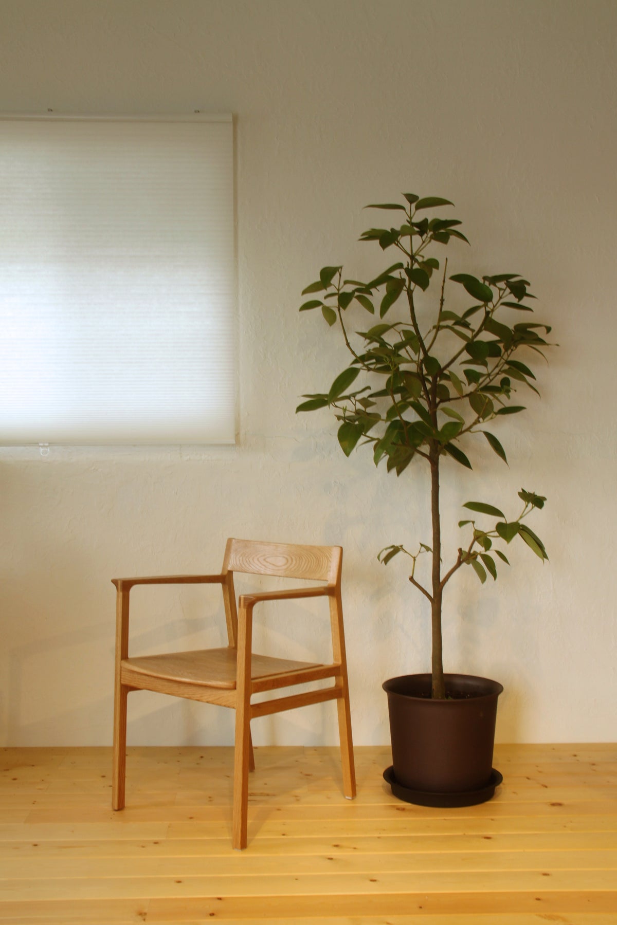 FORE Furniture CH03 Arm Chair 商品照片