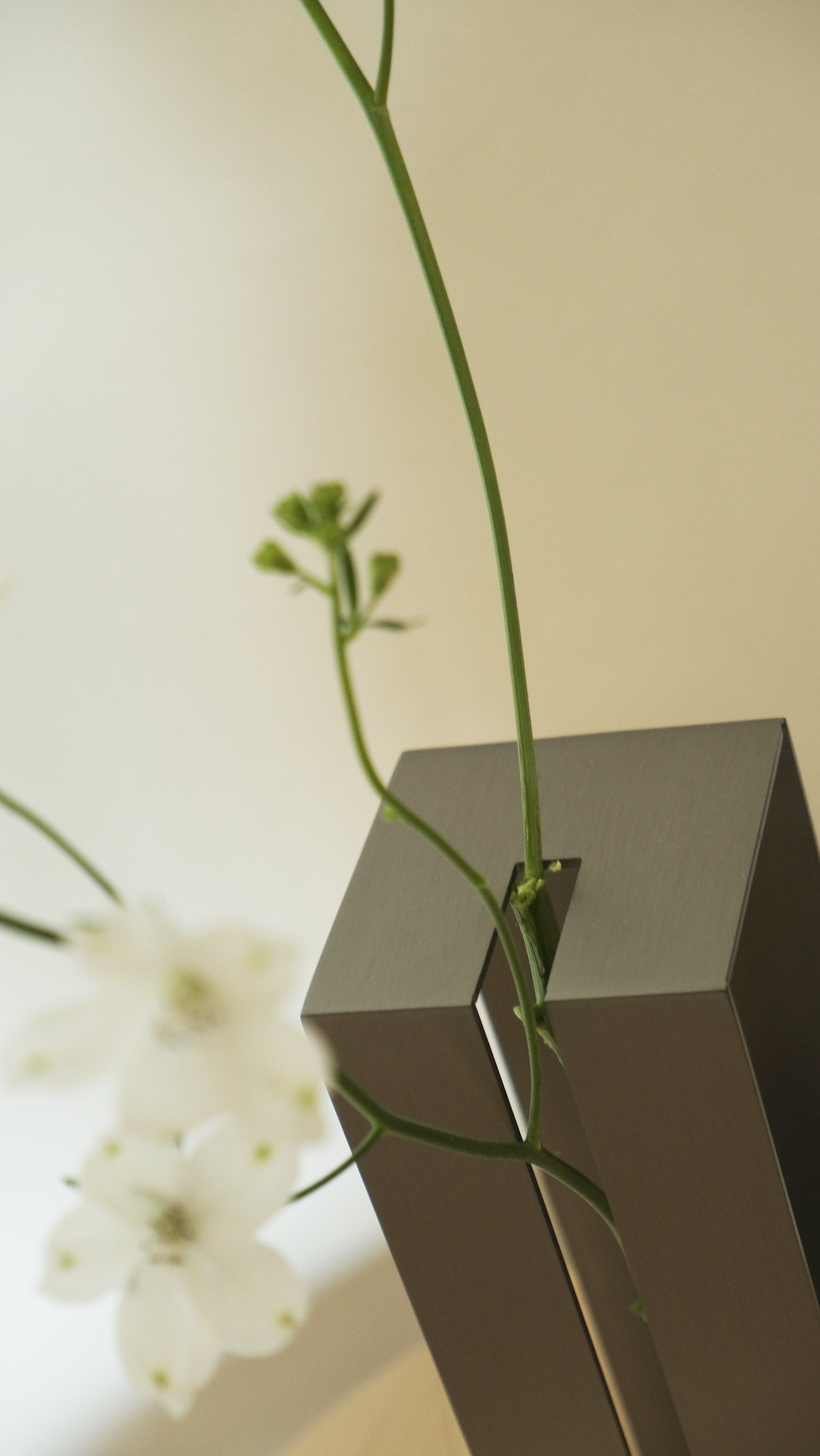 VASE 01花器