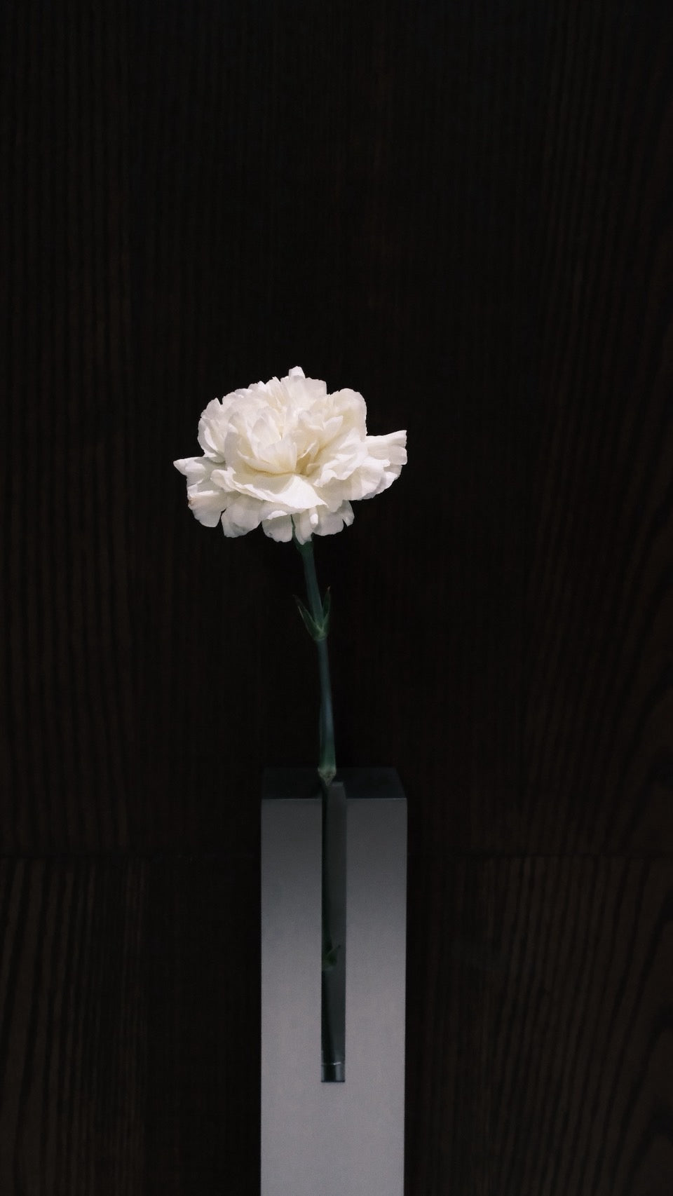 VASE 01花器