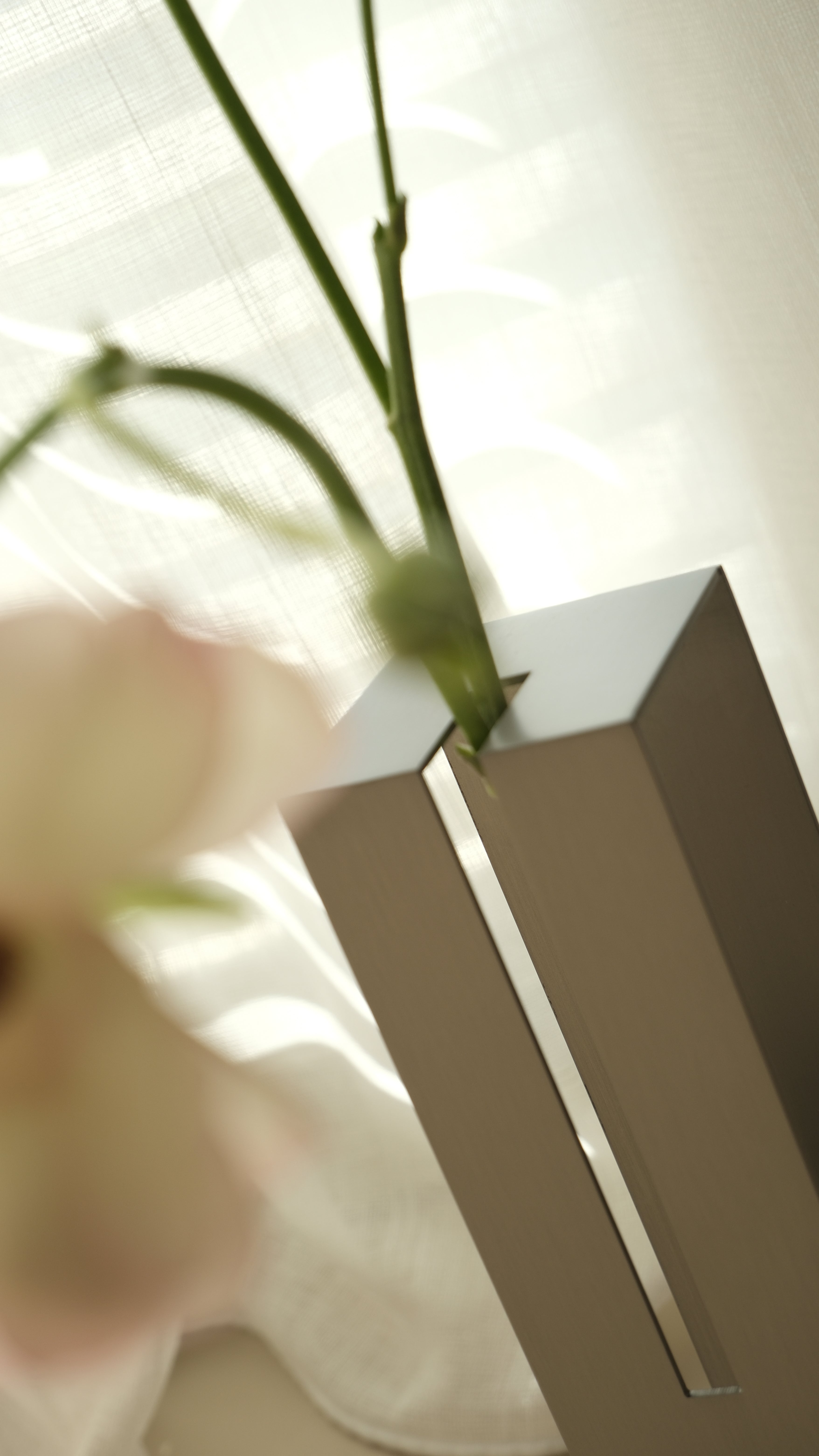 VASE 01花器